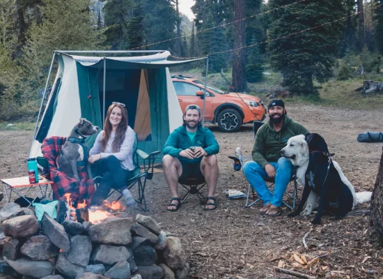 Family and dogs enjoying camping essentials like tents, fire pit, and outdoor gear at a forest campsite