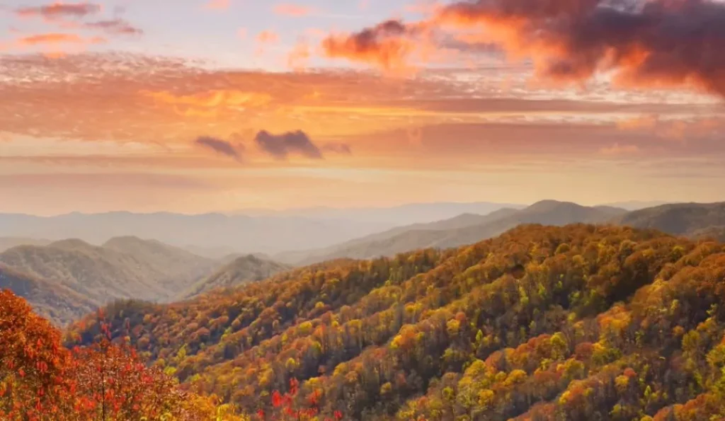 great smoky mountains | Cades Cove Campground GMB