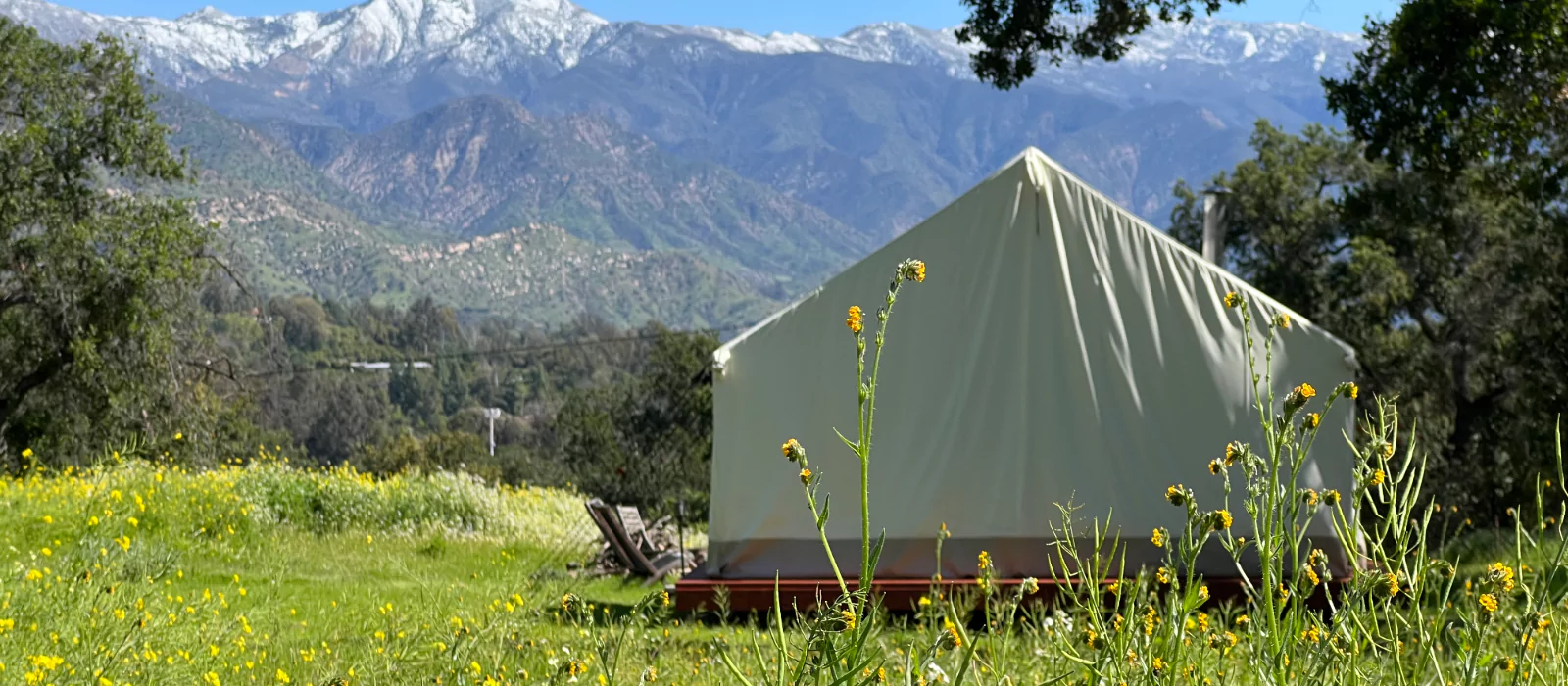 Canvas tent set up in a scenic green valley with wildflowers and snow-capped mountains in the background.