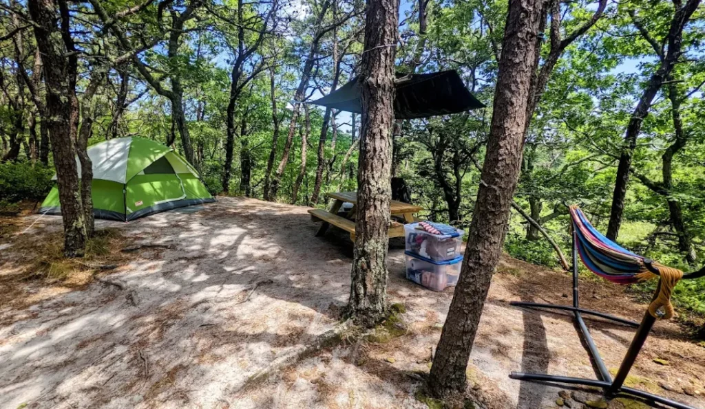 dunes edge campground  | credit: Dunes Edge Campground GMB