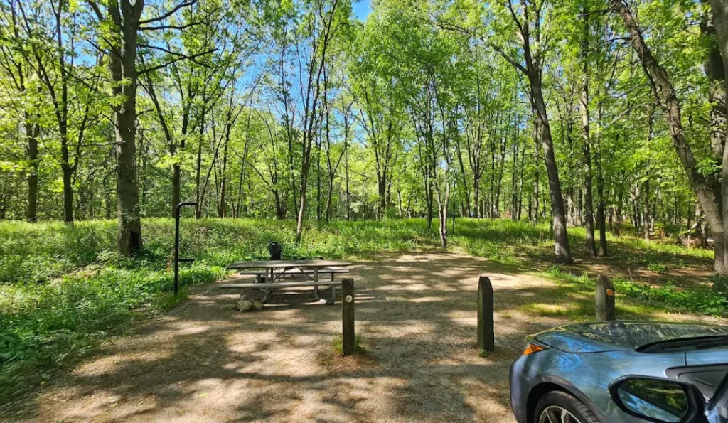 dunewood campground | credit: Dunewood Campground GMB