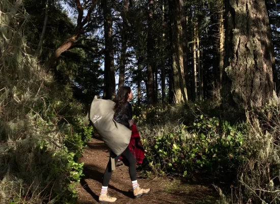 Person hiking through a forest trail carrying camping gear