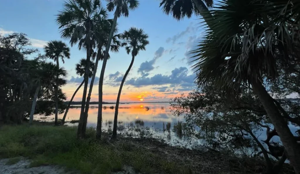 myakka river state park with lake view | credit: Myakka River State Park GMB