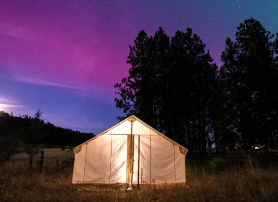 Canvas tent glowing under a starry night sky with purple and blue hues, surrounded by trees — perfect for stargazing
