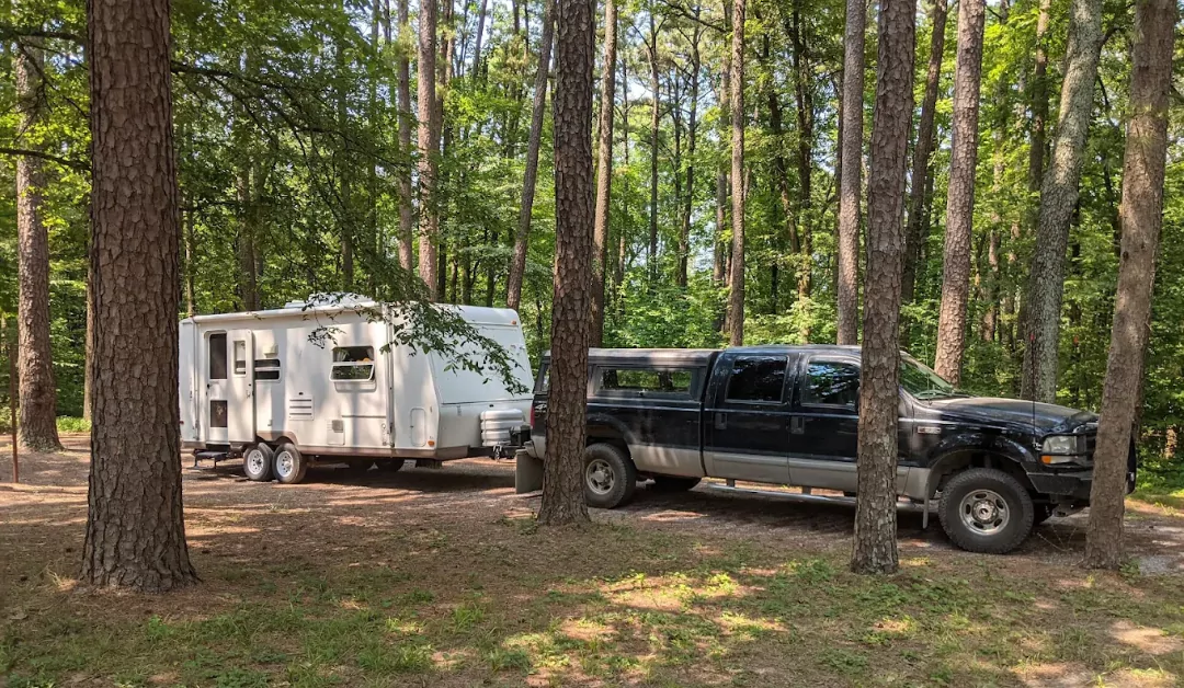 rv vans at pharoah campground for camping |credit: Pharoah Campground GMB