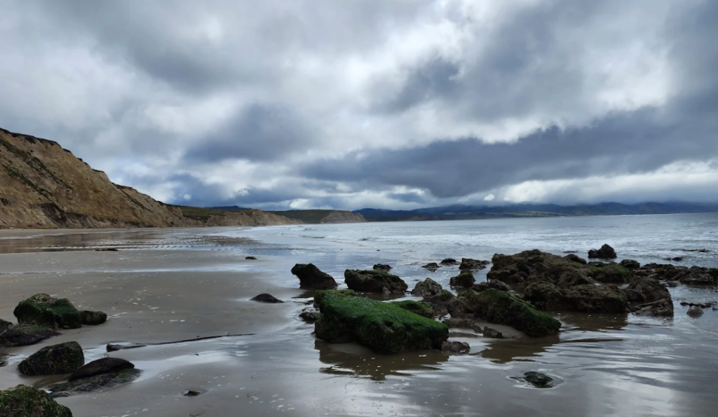 point reyes national seashore | credit: Point Reye National Seashore GMB