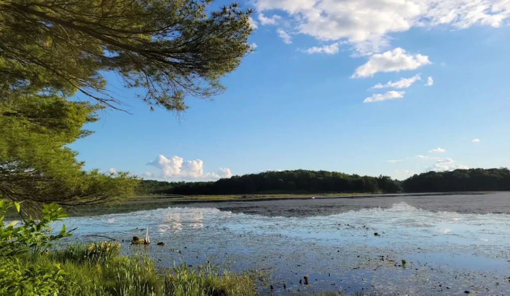 promised land state park | credit: Promised Land State Park GMB