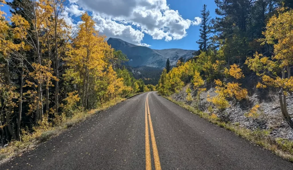 wheeler peak campground autumn | credit: Wheeler Peak Campground GMB