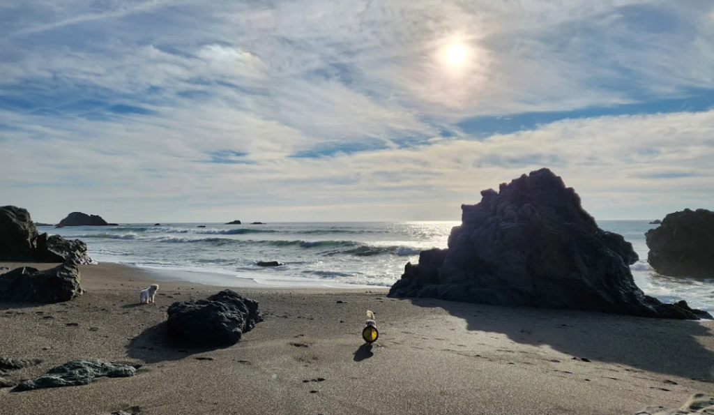 wrights beach with rocks | credit: Wrights Beach Campground GMB