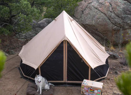 Canvas tent set up in a forested outdoor campsite with a white dog resting on a dog bed—perfect for pet-friendly camping.