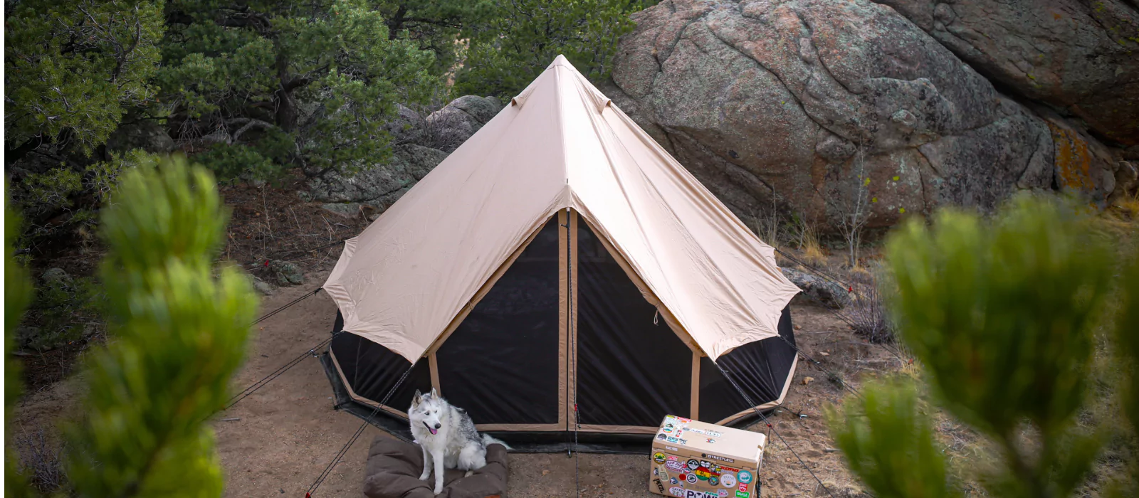 Canvas tent set up in a forested outdoor campsite with a white dog resting on a dog bed—perfect for pet-friendly camping.