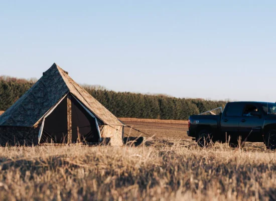 A canvas tent set up in a field next to a black pickup truck at a peaceful campsite surrounded by trees and open land.