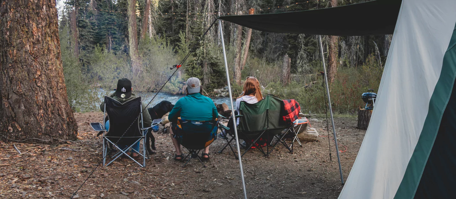 Group of friends relaxing in camping chairs near a lake, with a dog and a tent nearby, enjoying peaceful time by the water in the forest.