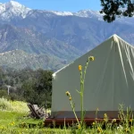 Canvas tent pitched in a grassy meadow with wildflowers, set against a backdrop of green mountains and snow-capped peaks
