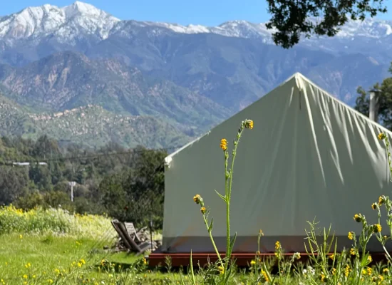 Canvas tent pitched in a grassy meadow with wildflowers, set against a backdrop of green mountains and snow-capped peaks