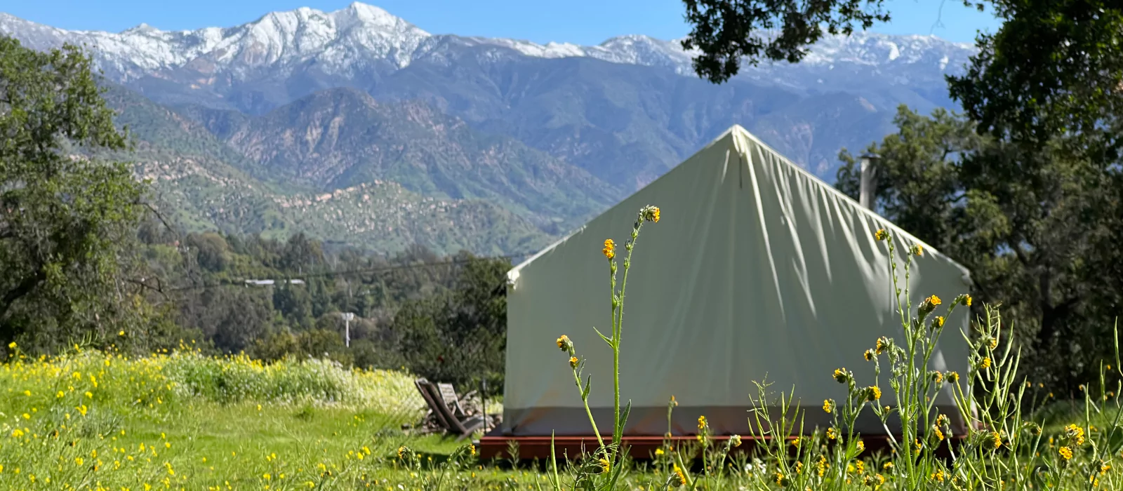 Canvas tent pitched in a grassy meadow with wildflowers, set against a backdrop of green mountains and snow-capped peaks
