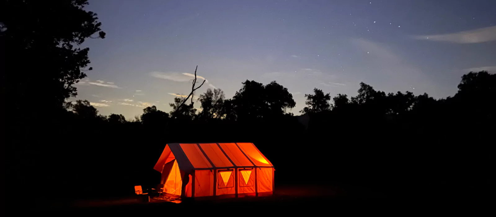 Illuminated canvas tent glowing warmly under a starlit sky in a remote forest campsite
