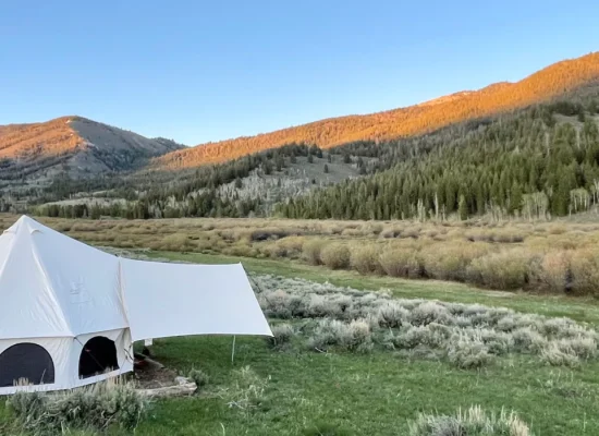 A white bell tent set up on a grassy field with mountains and pine trees in the background during a clear fall evening.