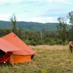 Orange camping tent set up in a grassy meadow with two horses grazing nearby under a clear fall sky.