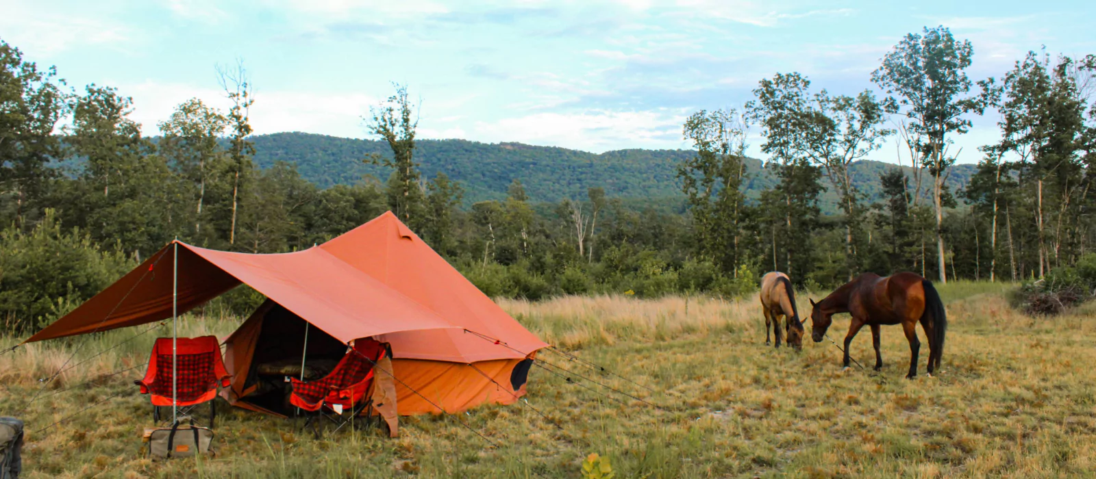 Orange camping tent set up in a grassy meadow with two horses grazing nearby under a clear fall sky.