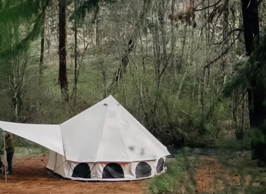 Canvas bell tent set up in a forest clearing for peaceful summer forest camping.
