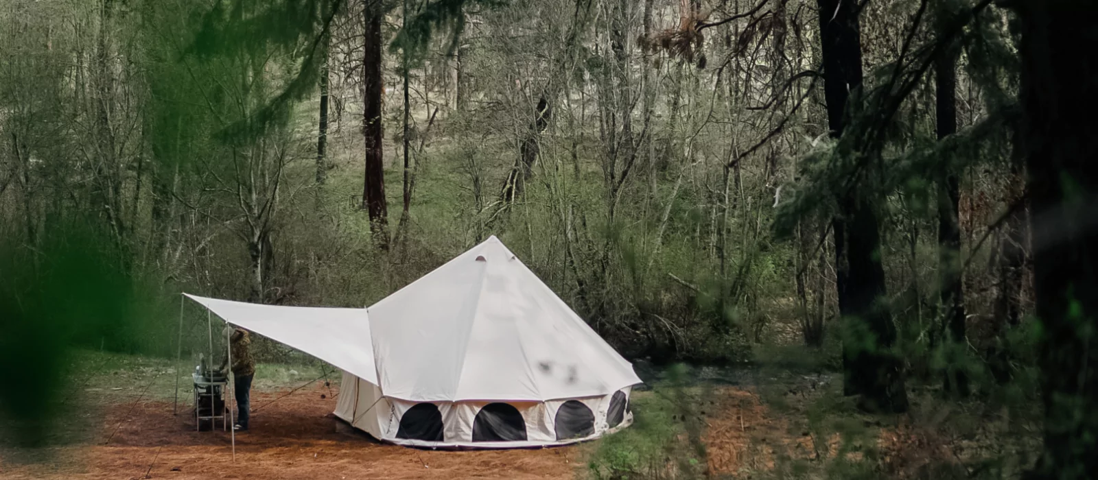 Canvas bell tent set up in a forest clearing for peaceful summer forest camping.