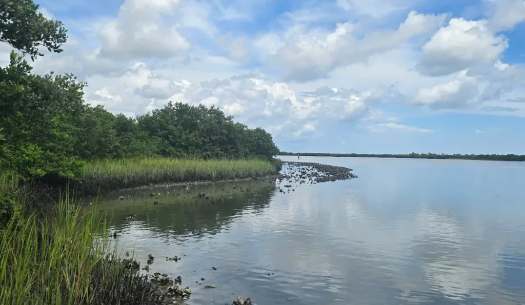 Anastasia State Park. Credit: Google Business Profile.