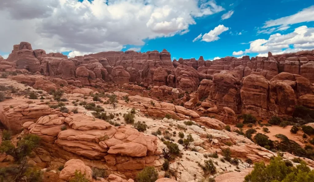 Arches National Park. Credit: Google Business Profile.
