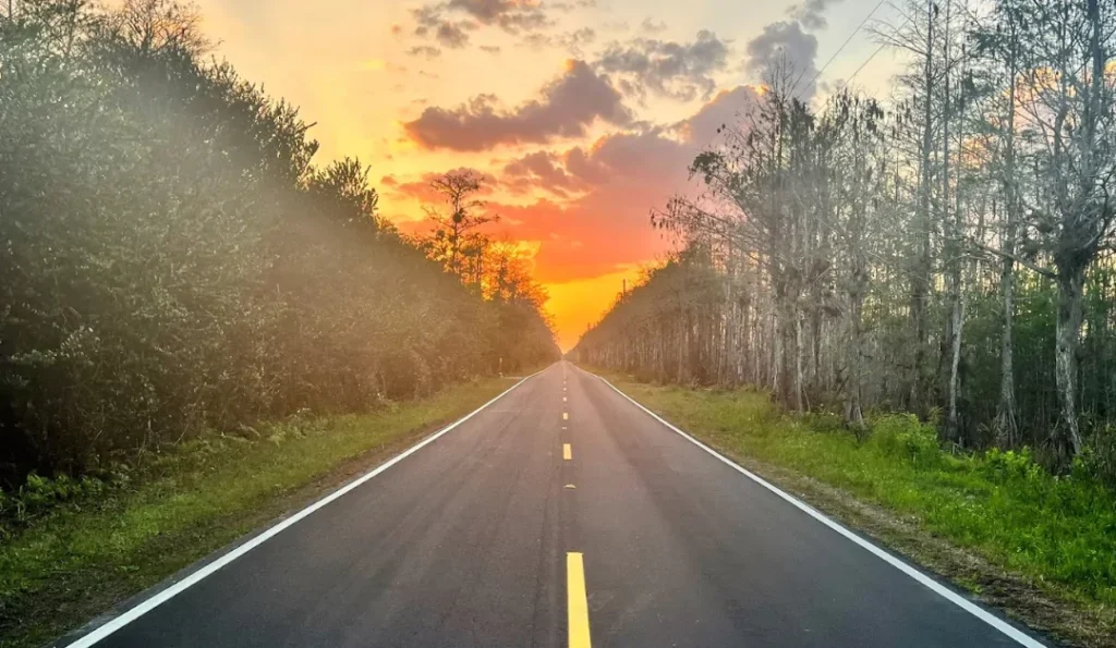 Big Cypress National Preserve. Credit: Google Business Profile