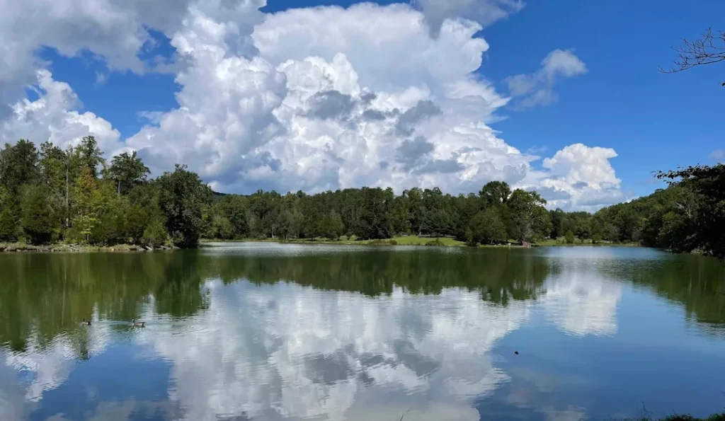 Big Ridge State Park. Credit: Google Business Profile.