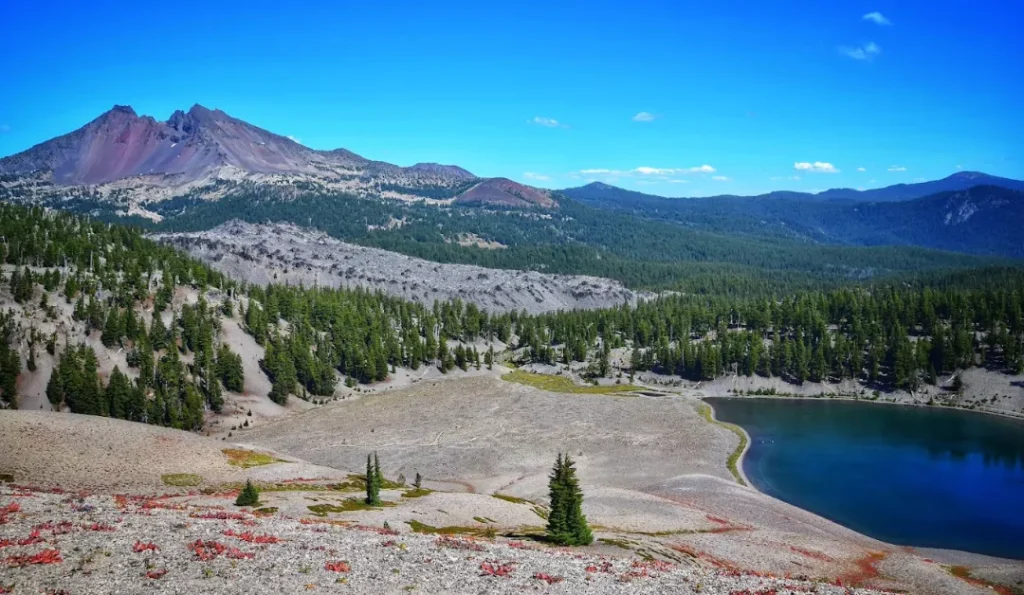 Deschutes National Forest. Credit: Google Business Profile.
