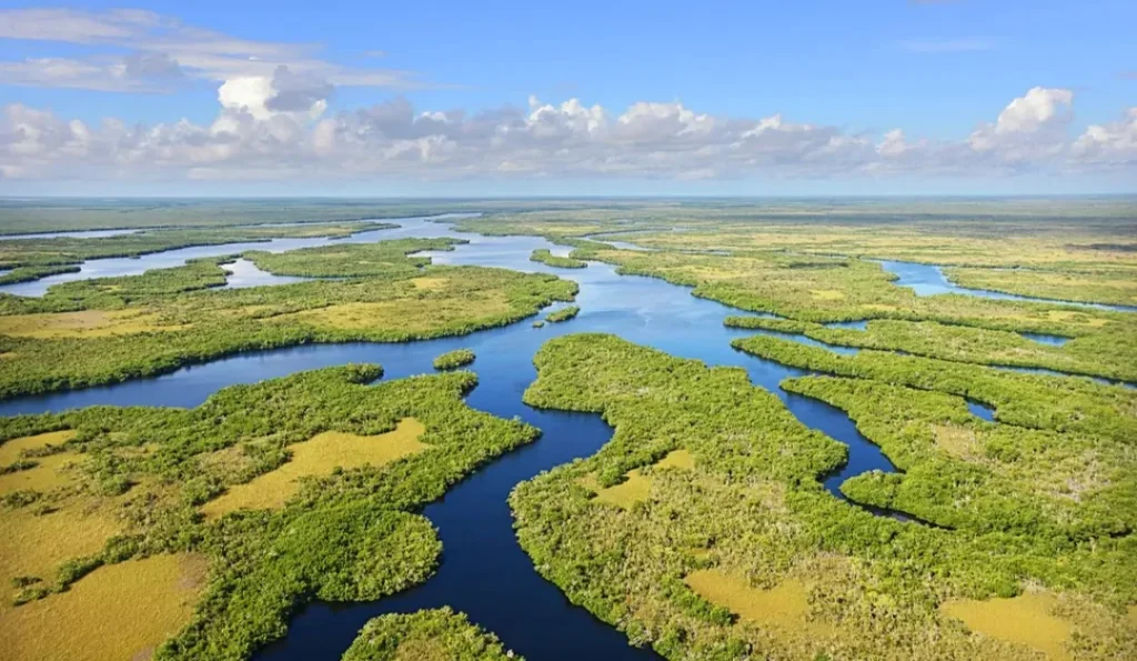 Everglades National Park. Credit: Google Business Profile.