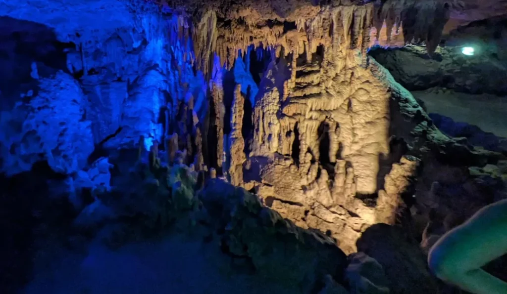 Florida Caverns State Park. Credit: Google Business Profile