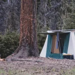 A cozy forest campsite with a canvas tent, firewood pile, and string lights wrapped around a large pine tree on a crisp fall day.
