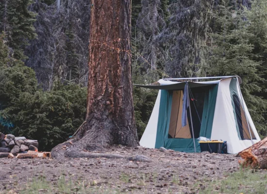 A cozy forest campsite with a canvas tent, firewood pile, and string lights wrapped around a large pine tree on a crisp fall day.