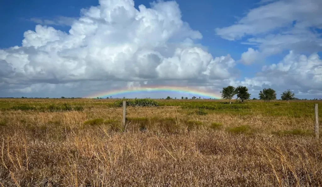 Kissimmee Prairie Preserve State Park. Credit: Google Business Profile