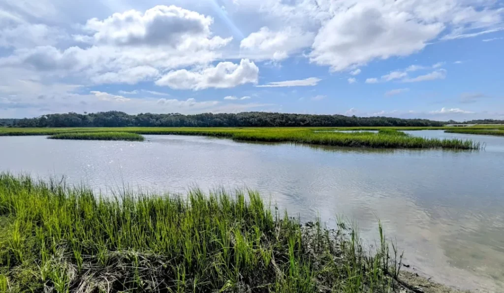 Little Talbot Island State Park. Credit:  Google Business Profile