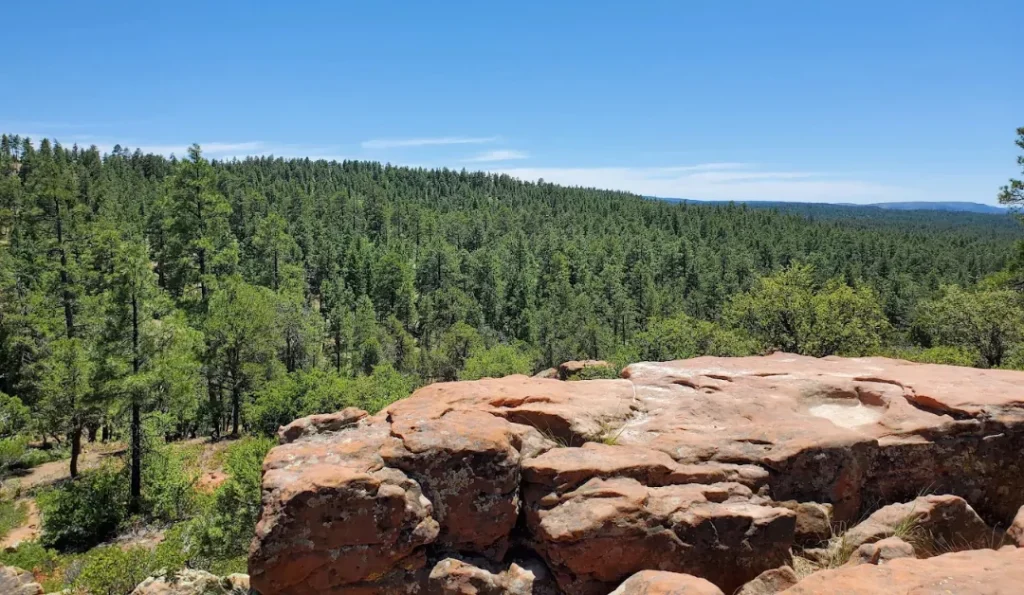Mogollon Rim. Credit: Google Business Profile.