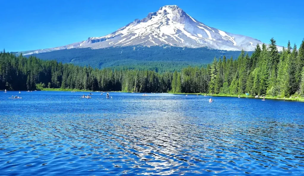 Mount Hood National Forest. Credit: Google Business Profile.
