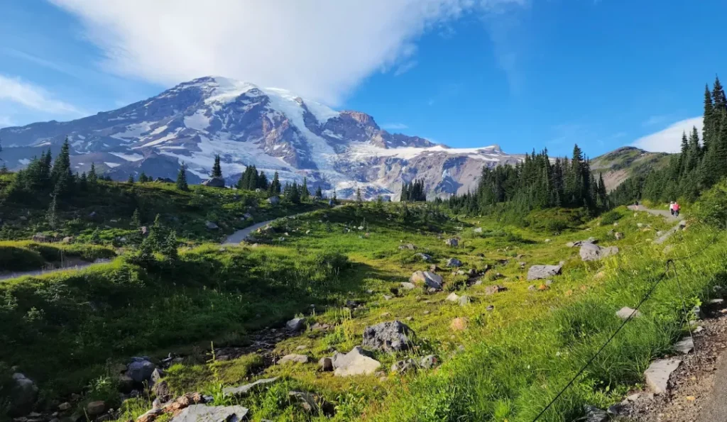 Mount Rainier National Park. Credit: Google Business Profile.