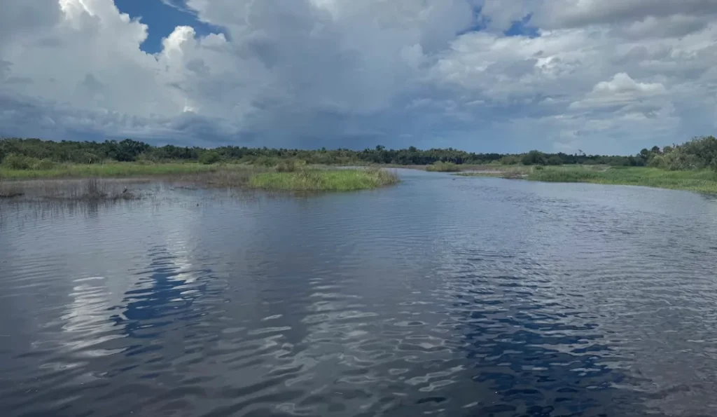 Myakka River State Park. Credit: Google Business Profile