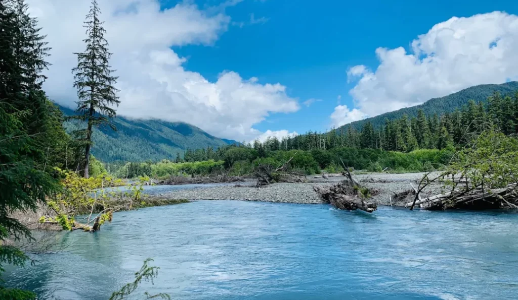 Olympic National Park. Credit: Google Business Profile.