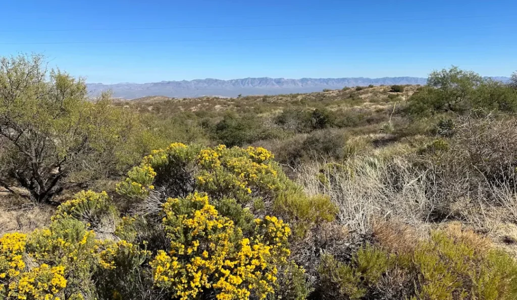 Oracle State Park. Credit: Google Business Profile.
