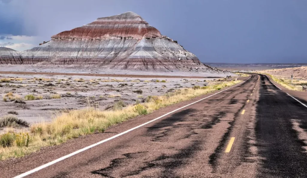 Petrified Forest National Park. Credit: Google Business Profile.