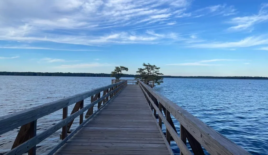 Reelfoot Lake State Park. Credit: Google Business Profile.