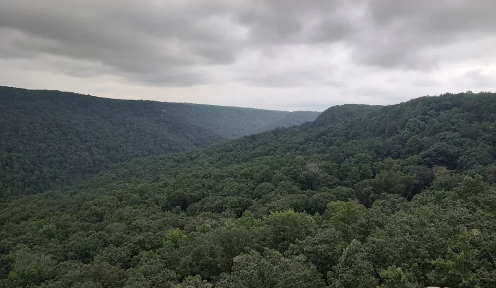 Savage Gulf State Park. Credit: Google Business Profile.