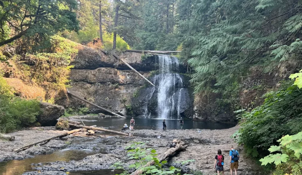 Silver Falls State Park. Credit: Google Business Profile.