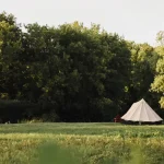 Canvas tent set up in a grassy meadow surrounded by trees, perfect for peaceful tent camping in Montana.