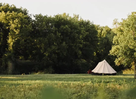 Canvas tent set up in a grassy meadow surrounded by trees, perfect for peaceful tent camping in Montana.