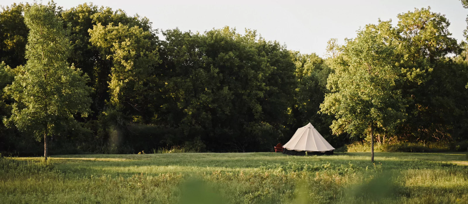 Canvas tent set up in a grassy meadow surrounded by trees, perfect for peaceful tent camping in Montana.